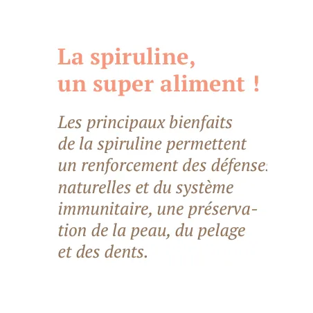 Moelleux - Truite Spiruline