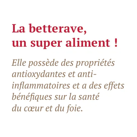 Bab'in Le Moelleux à cuisiner par le chef Thierry Marx pour chien saveur Canard Betterave