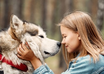 Comment lire dans les pensées de votre chien ? Apprenez à décoder son comportement